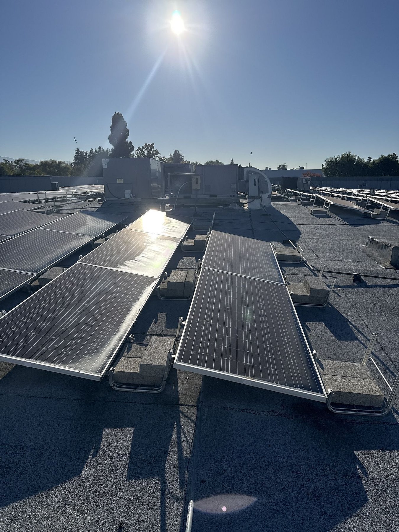 Commercial flat-roof maintenance with solar coordination