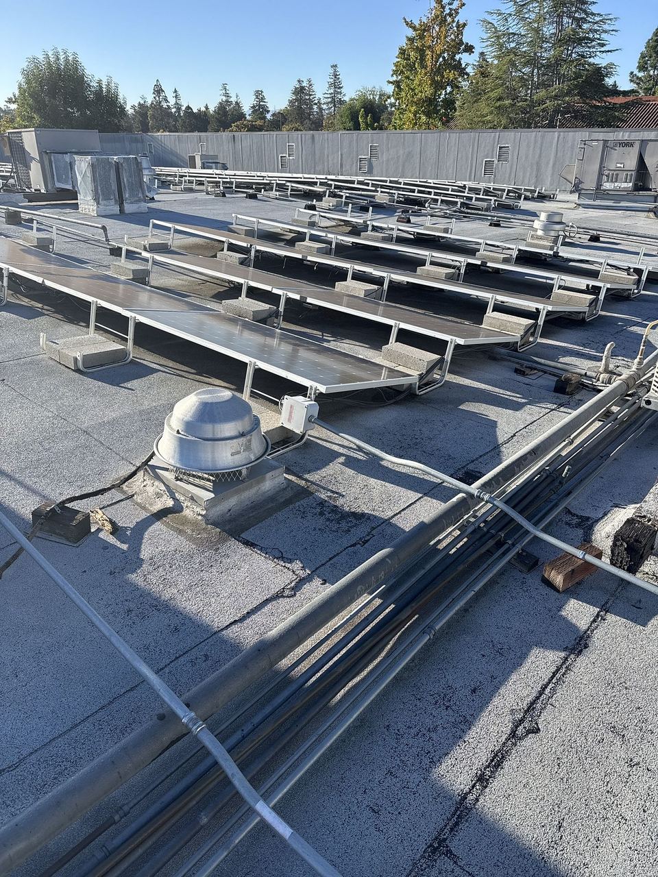 Commercial Roof Maintenance project photo 3
